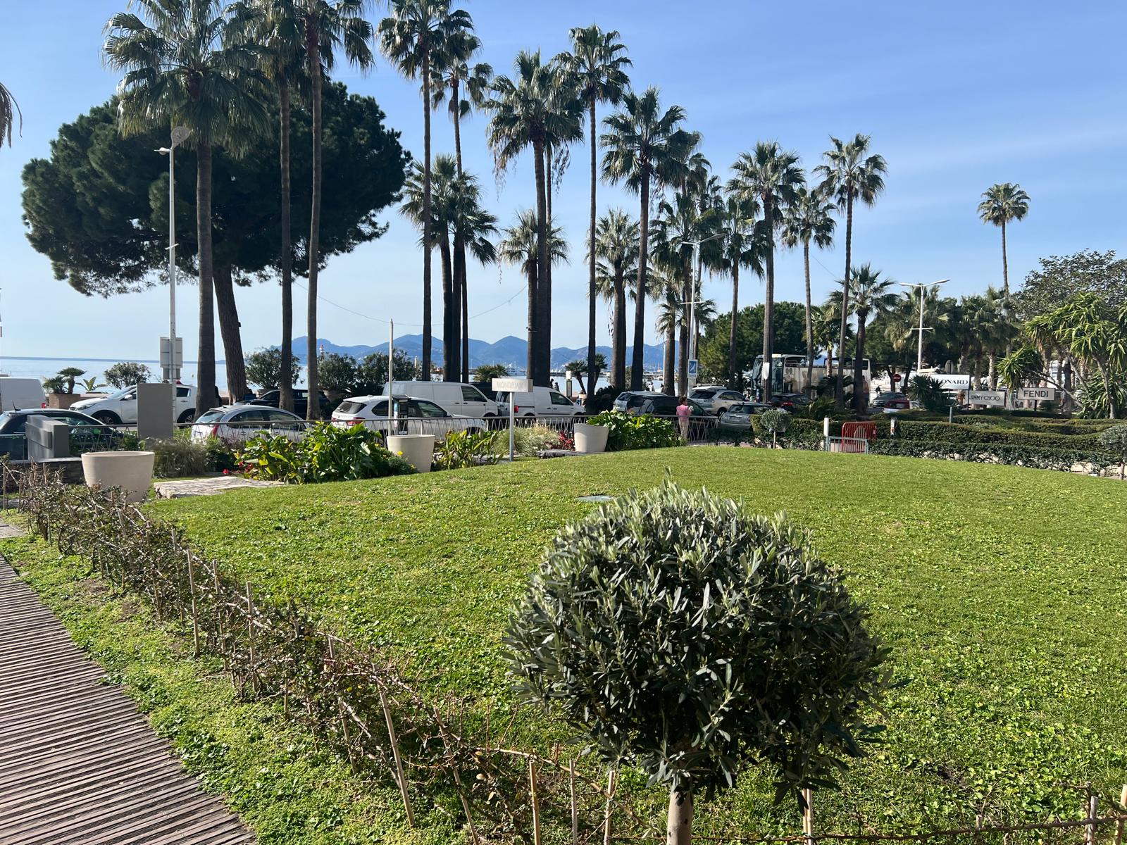 نخيل وضوء الريفييرا على لا كروازيت في كان على بعد دقائق من الشقة